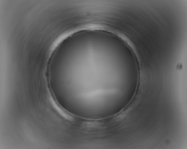X0000111031429200906251254