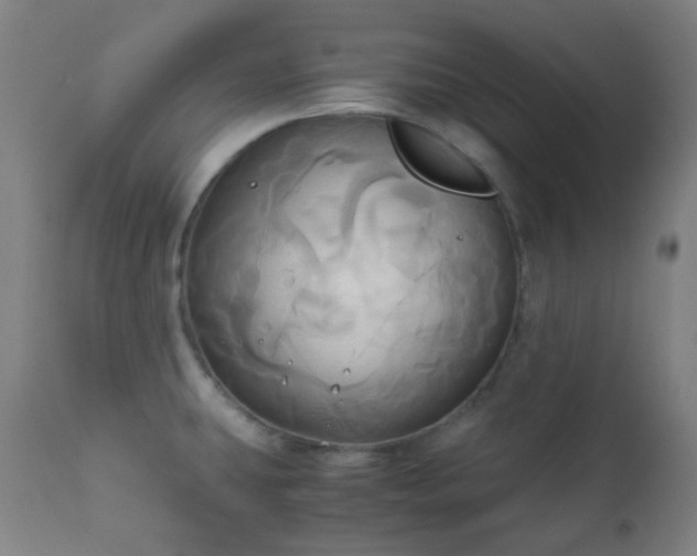 X0000111031431200906251254