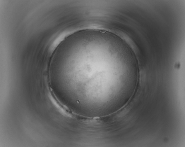 X0000111031432200906251254