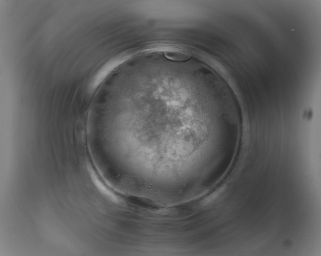 X0000111031433200906251254