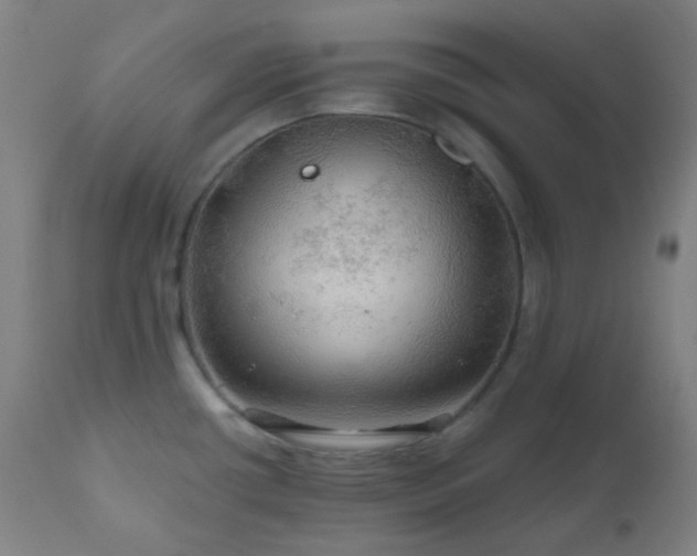 X0000111031434200906251254