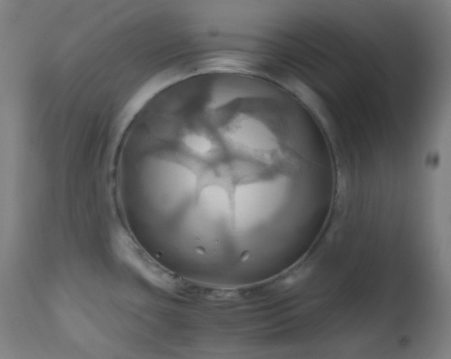 X0000111031435200906251254