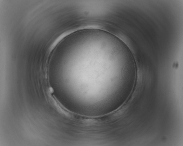 X0000111031436200906251254