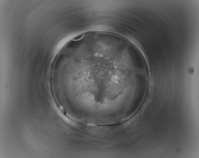X0000111031437200906251254