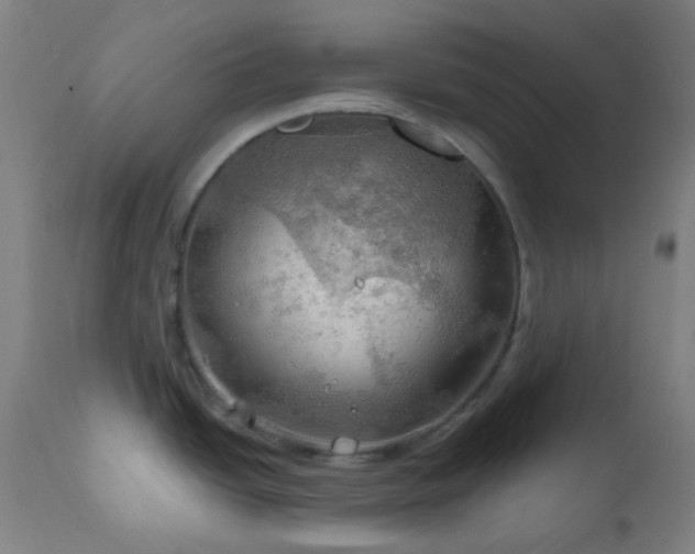X0000111031438200906251254
