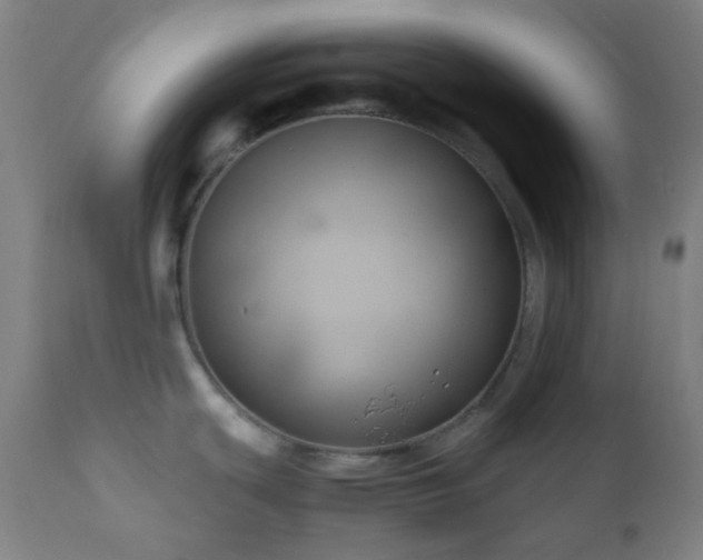 X0000111031439200906251254