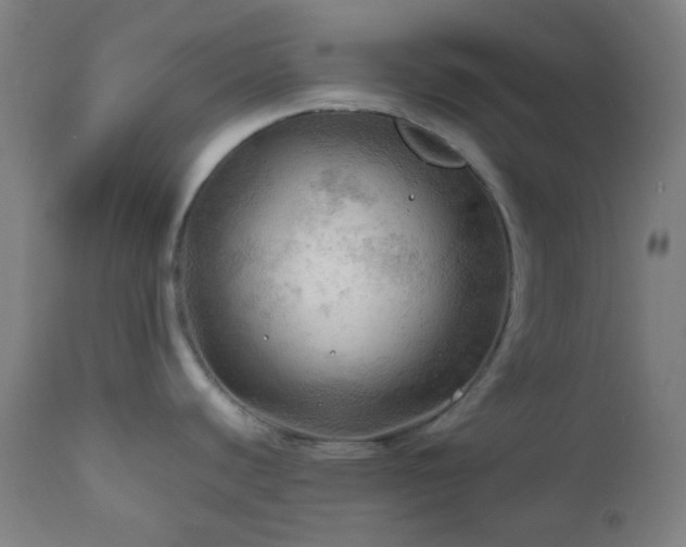 X0000111031440200906251255