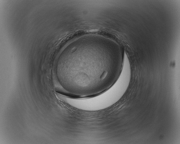X0000111031441200906251254