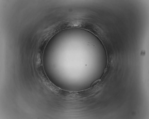 X0000111031442200906251254