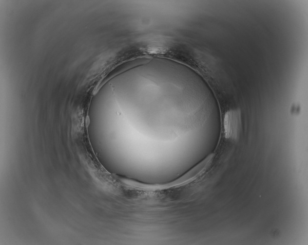 X0000111031443200906251254