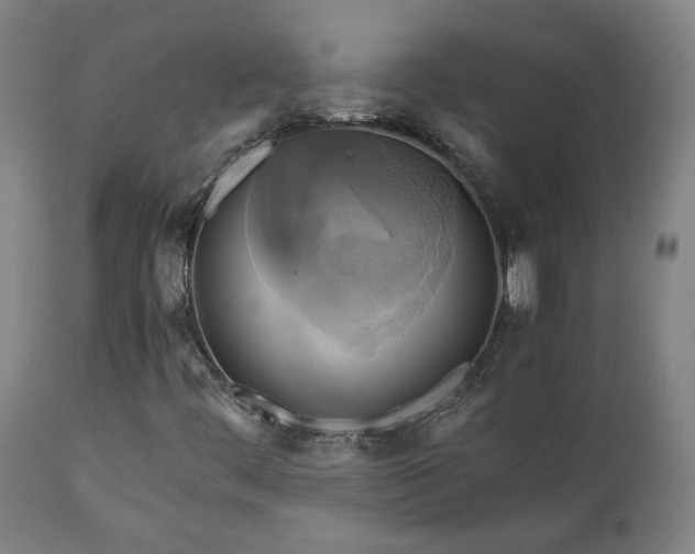 X0000111031444200906251254