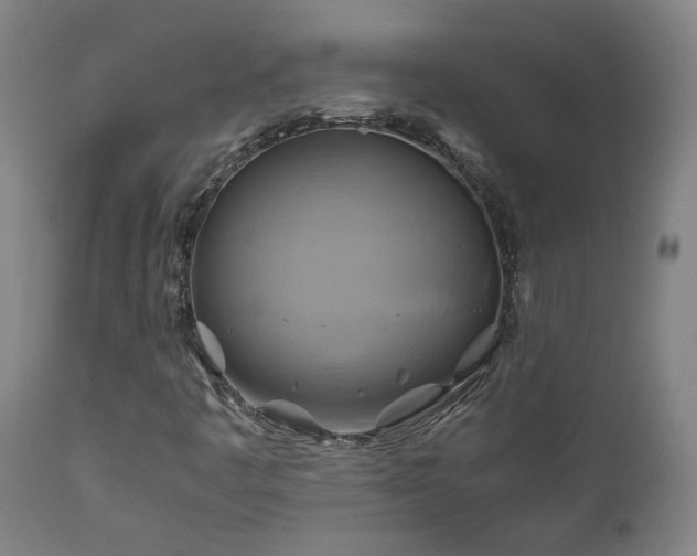 X0000111031445200906251254