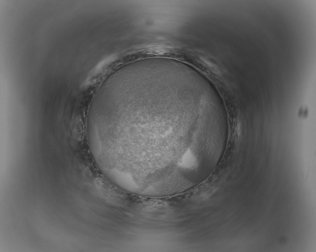 X0000111031446200906251254