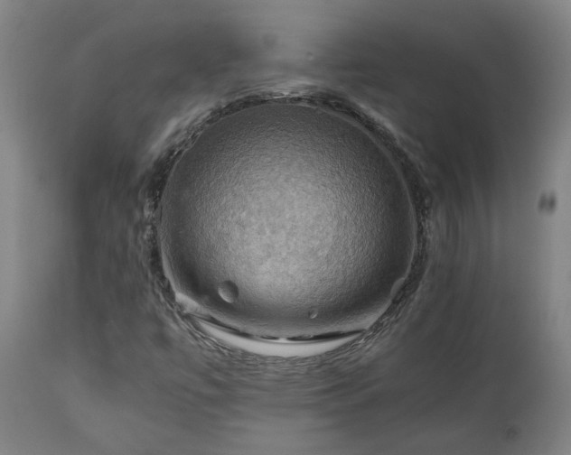 X0000111031447200906251254