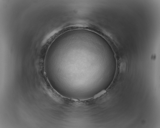 X0000111031448200906251254