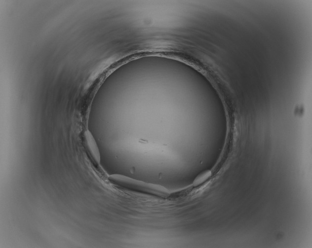 X0000111031449200906251254
