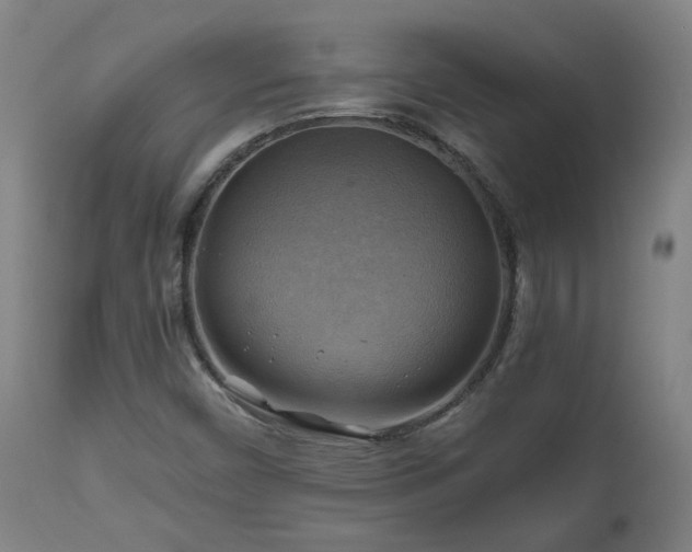 X0000111031450200906251254