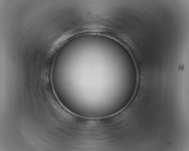X0000111031451200906251254