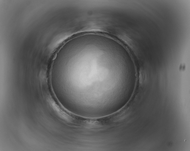 X0000111031452200906251254