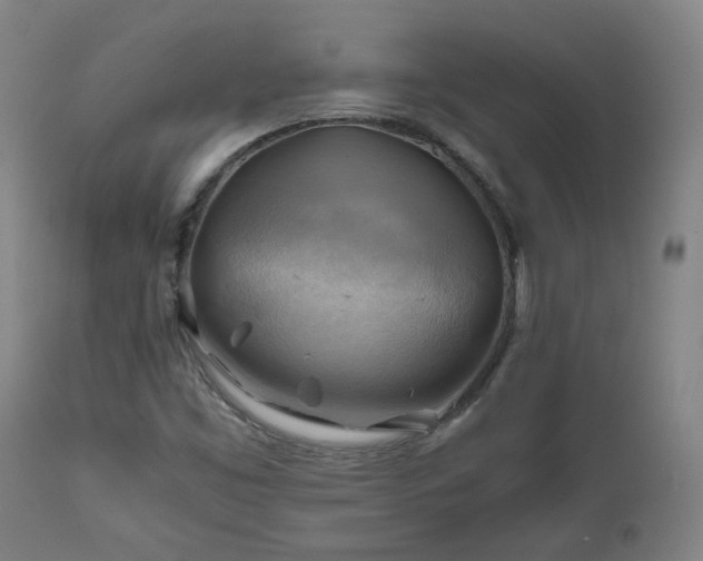 X0000111031453200906251254