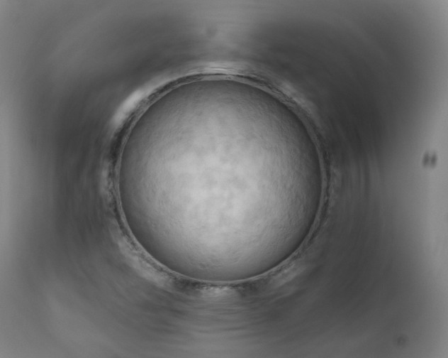 X0000111031454200906251254