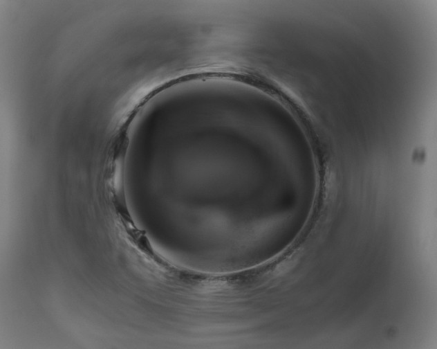 X0000111031455200906251254