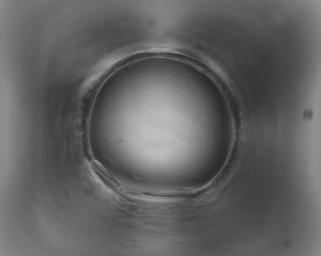 X0000111031456200906251254