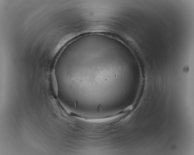 X0000111031457200906251254