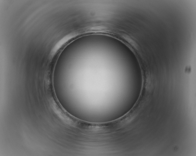 X0000111031458200906251254