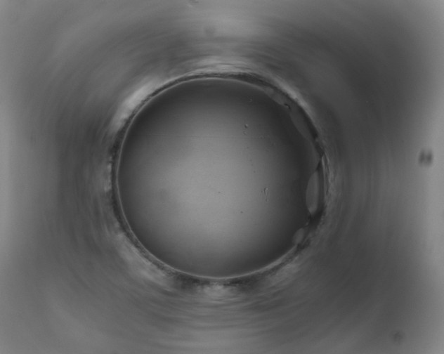 X0000111031459200906251254