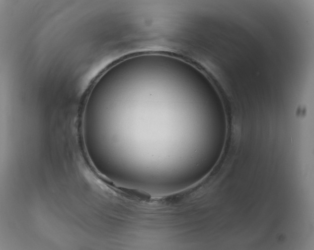 X0000111031460200906251254
