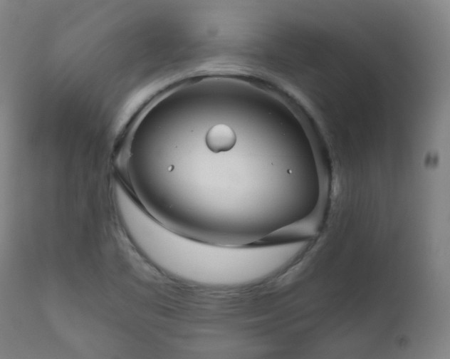 X0000111031461200906251254