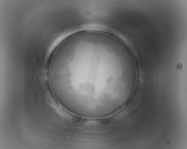 X0000111031462200906251254