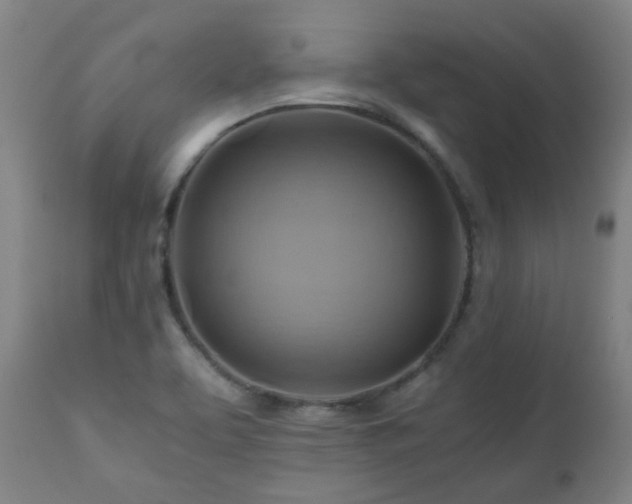 X0000111031463200906251254