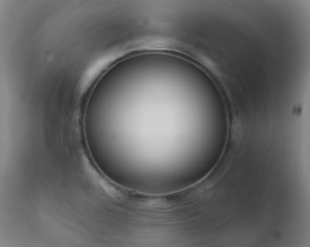 X0000111031464200906251254