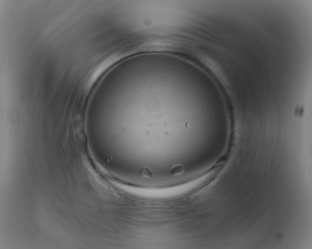X0000111031465200906251254