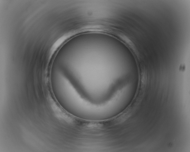 X0000111031466200906251253