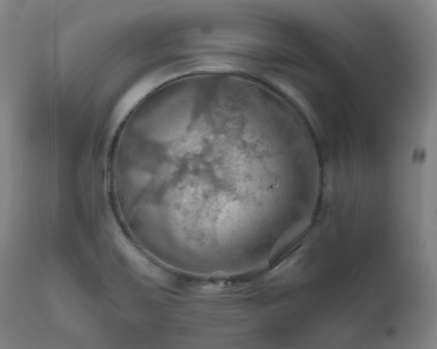 X0000111031467200906251253