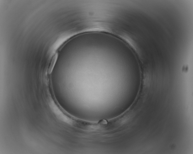 X0000111031468200906251253
