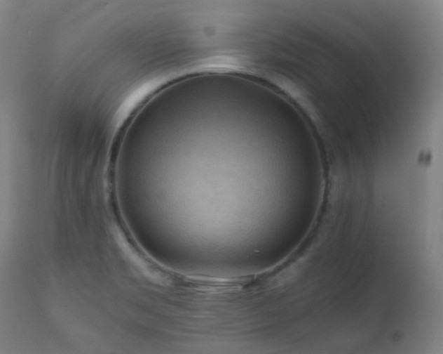 X0000111031469200906251253