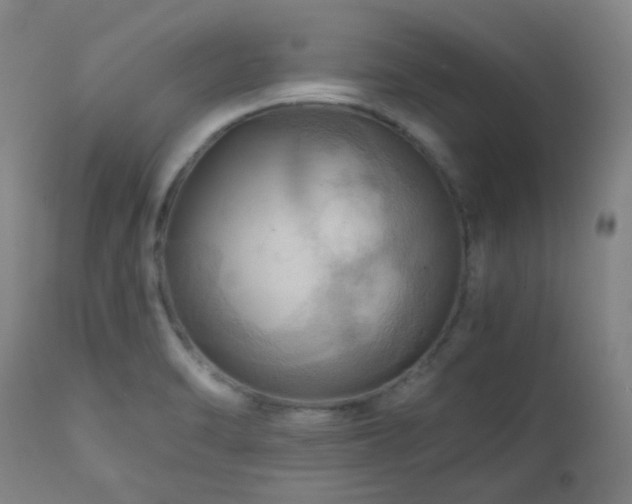 X0000111031470200906251253