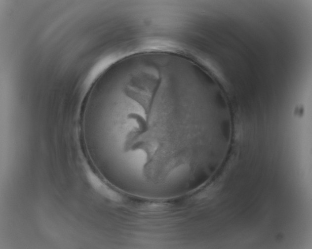 X0000111031471200906251253
