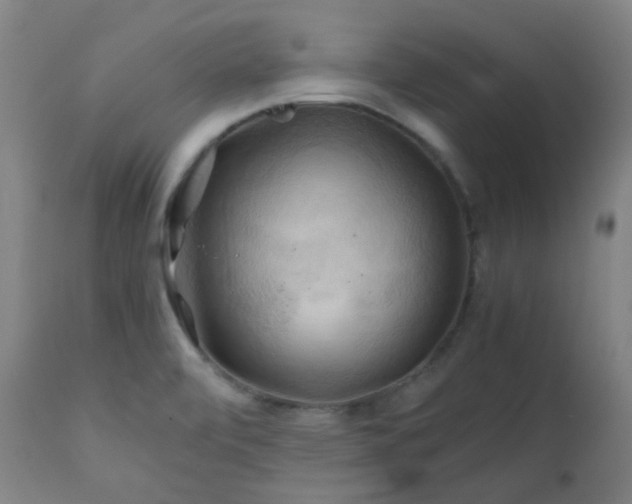 X0000111031472200906251253