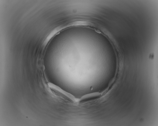 X0000111031473200906251253