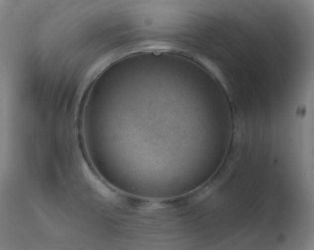 X0000111031475200906251253