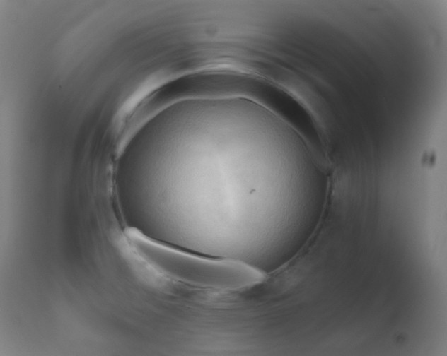 X0000111031476200906251253