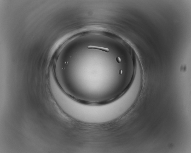 X0000111031477200906251253