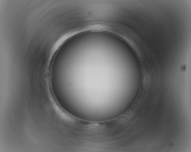 X0000111031478200906251253