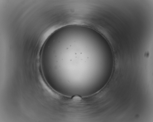 X0000111031479200906251253