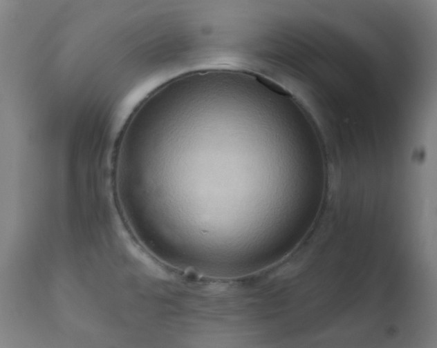 X0000111031480200906251253